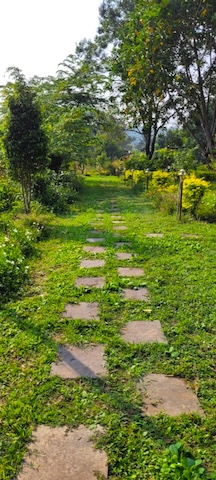 Garden pathway at the property