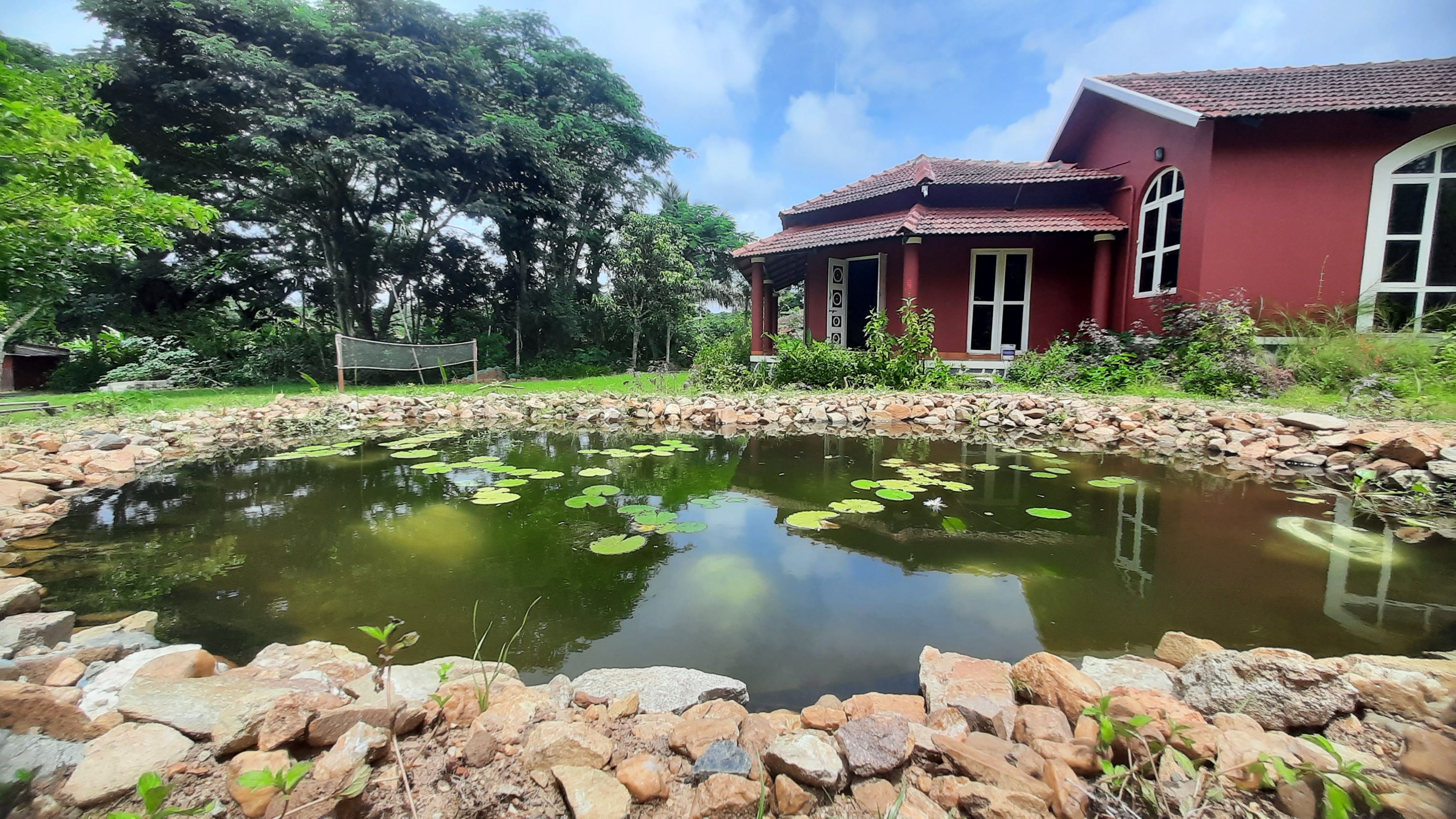Lily pond at Dandeli Chalet