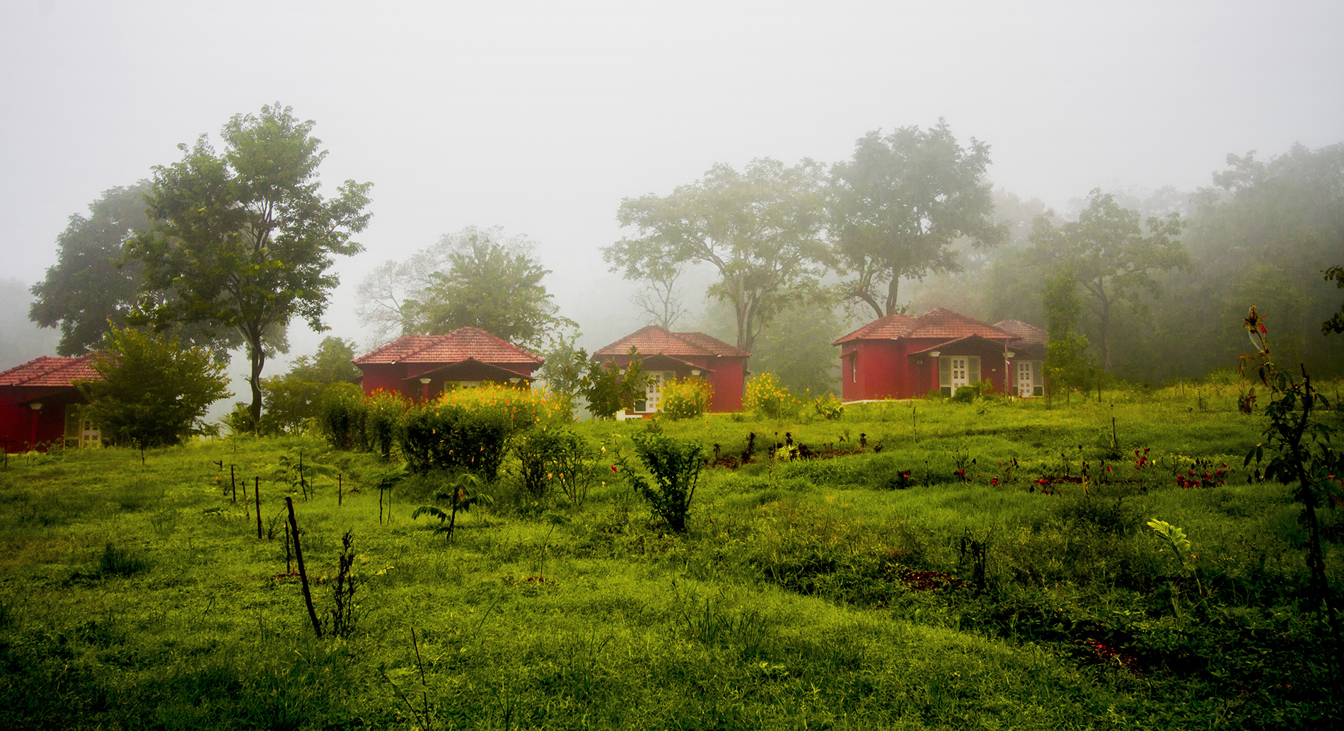 Misty morning view from the property