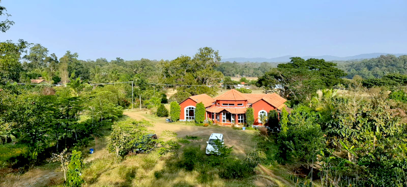 Aerial view of Dandeli Chalet surrounded by forest