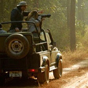 Dandeli Jungle Safari